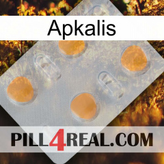 Apkalis 24
